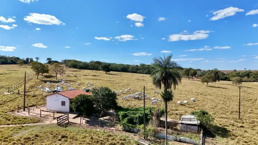 Fazenda/Sítio com 5 Quartos à venda, 17m² no , Cezarina