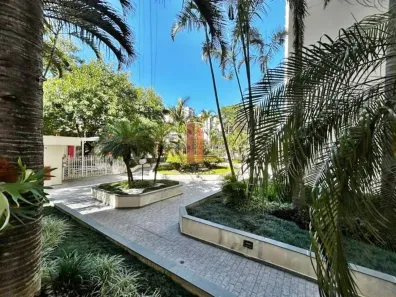 Apartamento com 3 Quartos para alugar, 65m² no Vila Gomes Cardim, São Paulo