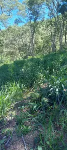 Lote/Terreno à venda, 20000m² no , Piracaia