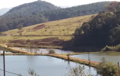 Fazenda/Sítio com 2 Quartos à venda, 2323200m² no , Ouro Fino