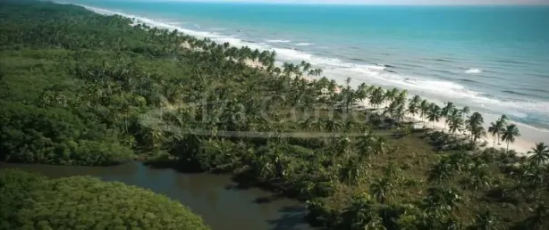 Fazenda/Sítio à venda, 550000m² no , Una