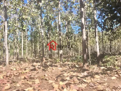 Fazenda/Sítio com 5 Quartos à venda, 209m² no Plano Diretor Norte, Palmas