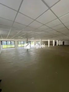 Prédio Comercial para alugar, 1850m² no Nova Ribeirânia, Ribeirão Preto