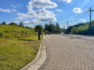 Lote/Terreno à venda, 1729m² no Palmares, Ivoti