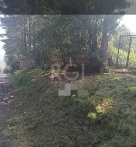Lote/Terreno à venda, 4000m² no Lomba do Pinheiro, Porto Alegre