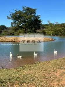 Lote/Terreno à venda, 1540m² no , Bela Vista de Goiás