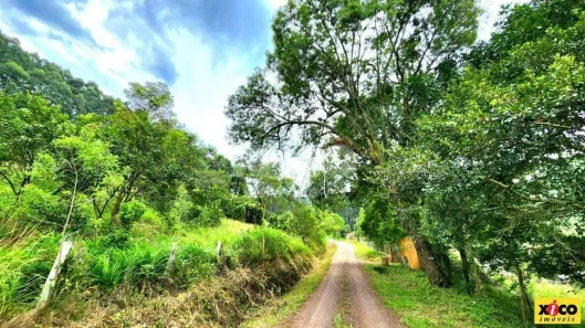 Fazenda/Sítio com 1 Quarto à venda, 5000m² no Canto Ruckert, Linha Nova