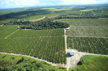 Casa com 1 Quarto à venda, 2600000m² no , Itabela