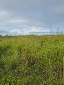 Fazenda/Sítio com 3 Quartos à venda, 115000m² no , Monte Alegre