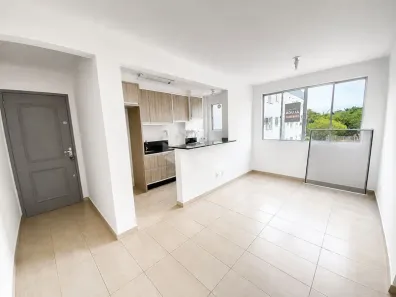 Apartamento com 2 Quartos para alugar, 47m² no Itacorubi, Florianópolis