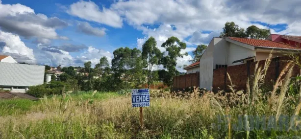 Lote/Terreno à venda, 1250m² no Jardim América, Apucarana