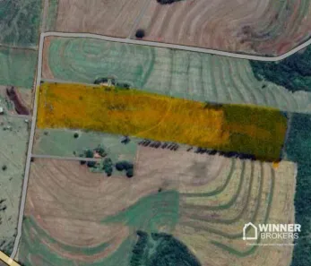 Fazenda/Sítio à venda, 98360m² no Alto Piquiri, Alto Piquiri