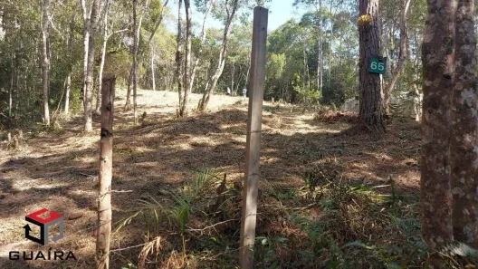 Lote/Terreno à venda, 5119m² no Curucutu, São Bernardo do Campo