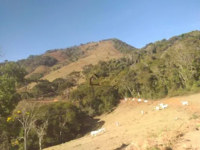 Fazenda/Sítio com 3 Quartos à venda, 90m² no Franceses, Carvalhos