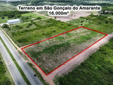 Lote/Terreno à venda, 16000m² no Maçaranduba, São Gonçalo do Amarante