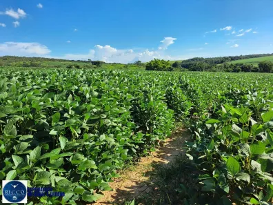 Fazenda/Sítio com 2 Quartos à venda, 161m² no Setor Central, Ipameri