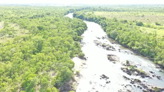 Fazenda/Sítio com 3 Quartos à venda, 6292000m² no , Natividade