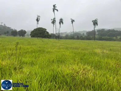 Lote/Terreno à venda, 1m² no Setor Central, Taquaral de Goiás