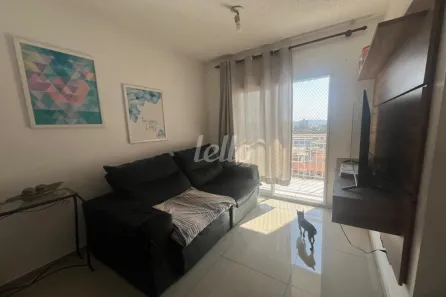 Apartamento com 2 Quartos à venda, 54m² no Vila Constança, São Paulo