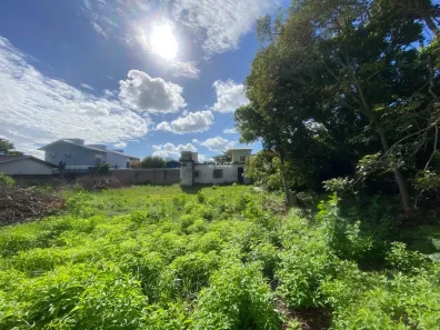 Lote/Terreno à venda, 611m² no Campeche, Florianópolis