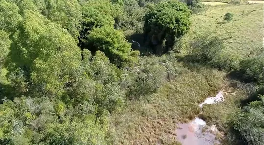 Fazenda/Sítio à venda, 100000m² no , Seritinga