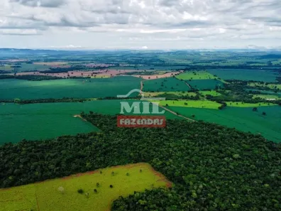 Fazenda/Sítio à venda, 20000m² no Centro, Trindade