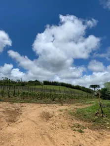 Fazenda/Sítio com 2 Quartos à venda, 80m² no , São Miguel Arcanjo