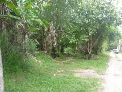 Lote/Terreno à venda, 10m² no Parque do Terceiro Lago, São Paulo