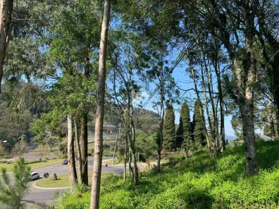 Lote/Terreno à venda, 5000m² no Planalto, Gramado