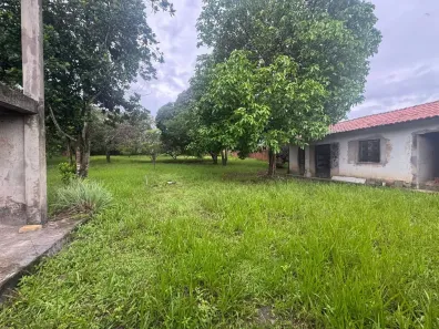 Fazenda/Sítio com 5 Quartos à venda, 5000m² no Turu, São Luís