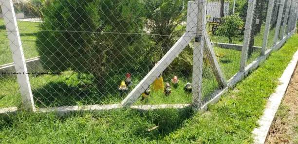 com 3 Quartos à venda, 1500m² no Centro, Presidente Prudente