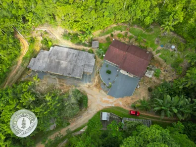 Fazenda/Sítio com 3 Quartos à venda, 248m² no Belchior Alto, Gaspar