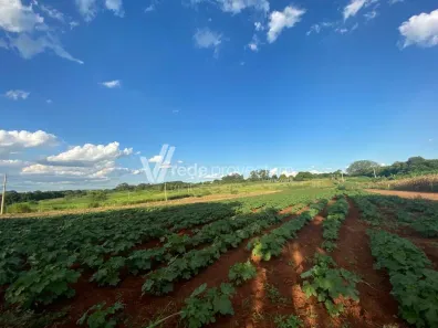 Lote/Terreno à venda, 99658m² no Betel, Paulínia