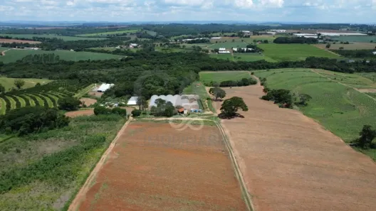Fazenda/Sítio à venda, 10m² no , Holambra