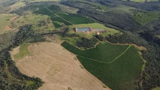 Fazenda/Sítio com 8 Quartos à venda, 1674m² no Centro, Presidente Olegário