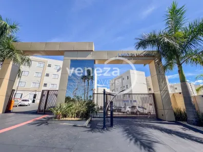 Apartamento com 2 Quartos para alugar, 41m² no Cidade Industrial 2, Londrina