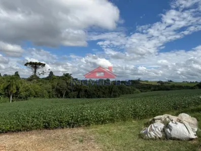 Lote/Terreno à venda, 26000m² no , Araucária
