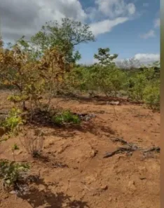 Lote/Terreno à venda, 15000000m² no Centro, Felixlândia