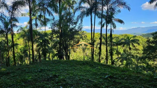 Lote/Terreno à venda, 20000m² no Colônia Sesmaria, Morretes