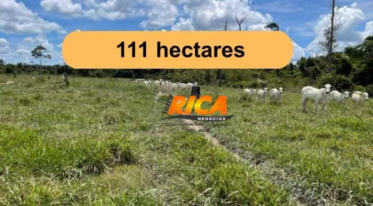 Fazenda/Sítio à venda, 1110000m² no , Candeias do Jamari