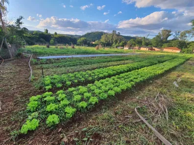 Fazenda/Sítio com 1 Quarto à venda, 3040m² no Selva, Londrina