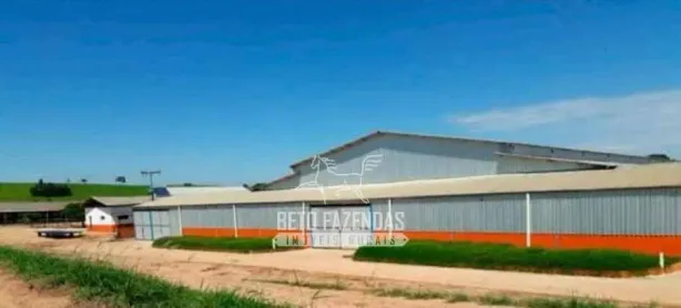 Fazenda/Sítio à venda, 11833800m² no Área Rural de Itapetininga, Itapetininga