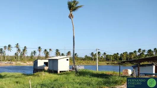 Fazenda/Sítio à venda, 360000m² no , Trairi