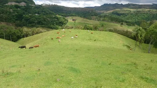 Fazenda/Sítio à venda, 20000m² no São Leonardo, Rancho Queimado