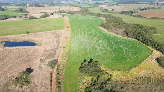 Fazenda/Sítio à venda, 410000000m² no , Triunfo