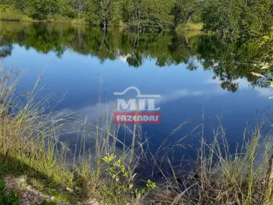 Fazenda/Sítio à venda, 1m² no , Taipas do Tocantins
