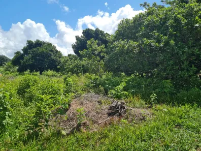 Lote/Terreno à venda, 30000m² no Aldeia dos Camarás, Camaragibe