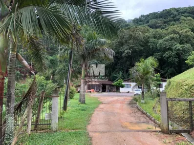 Fazenda/Sítio com 3 Quartos à venda, 15516m² no Tirol, Nova Trento