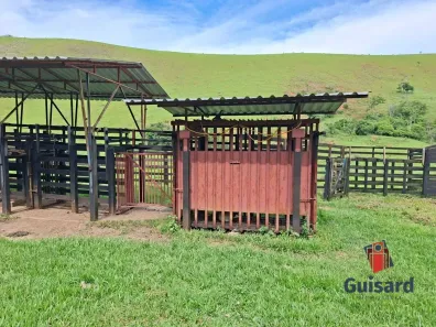 Fazenda/Sítio com 3 Quartos à venda, 1984400m² no Área Rural de Guaratinguetá, Guaratinguetá