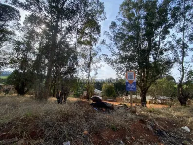Lote/Terreno à venda, 795m² no Cará-cará, Ponta Grossa